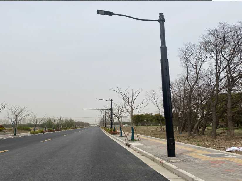 桃江县上海综合杆 太阳能路灯工程